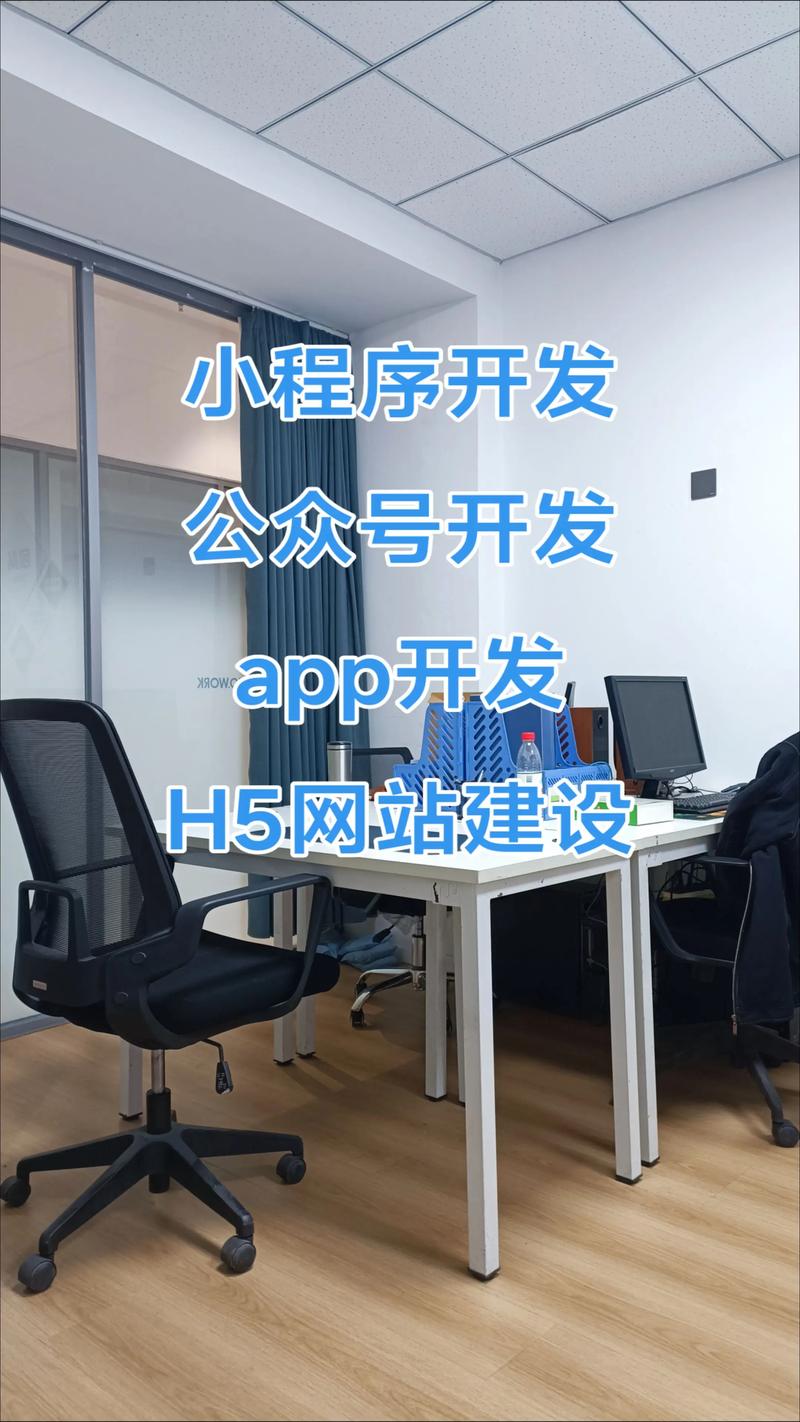 APP开发
